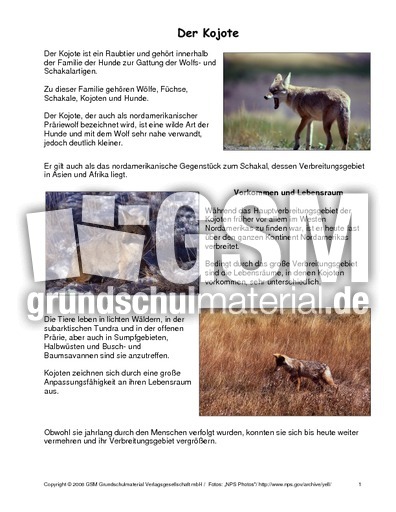 Kojote-Steckbrief.pdf